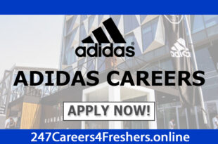 Adidas Careers